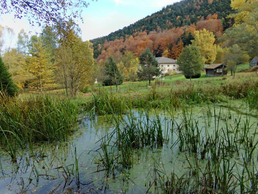 Hotel-Spa & Restaurant Logis Domaine Langmatt Murbach Екстер'єр фото